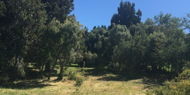 Lote en Bariloche: Barrio Privado Bandurrias